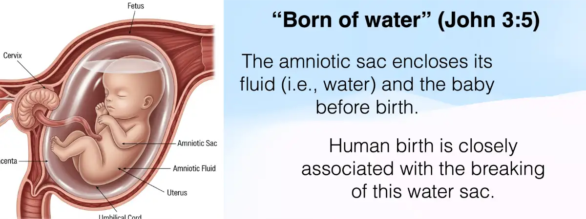 A description of water in John 3:5
