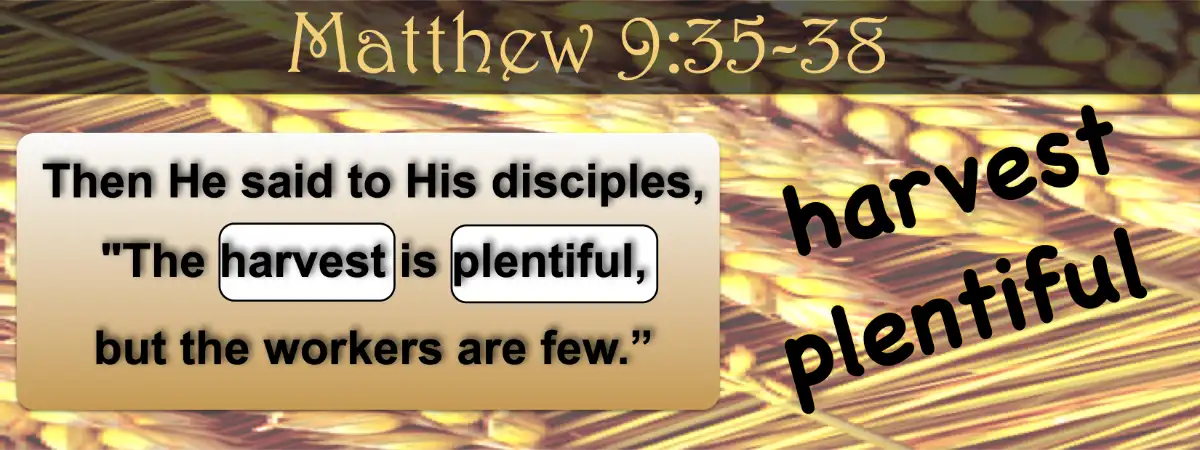 Matthew 9:35-38 Going into His Harvest | A Mission Message
