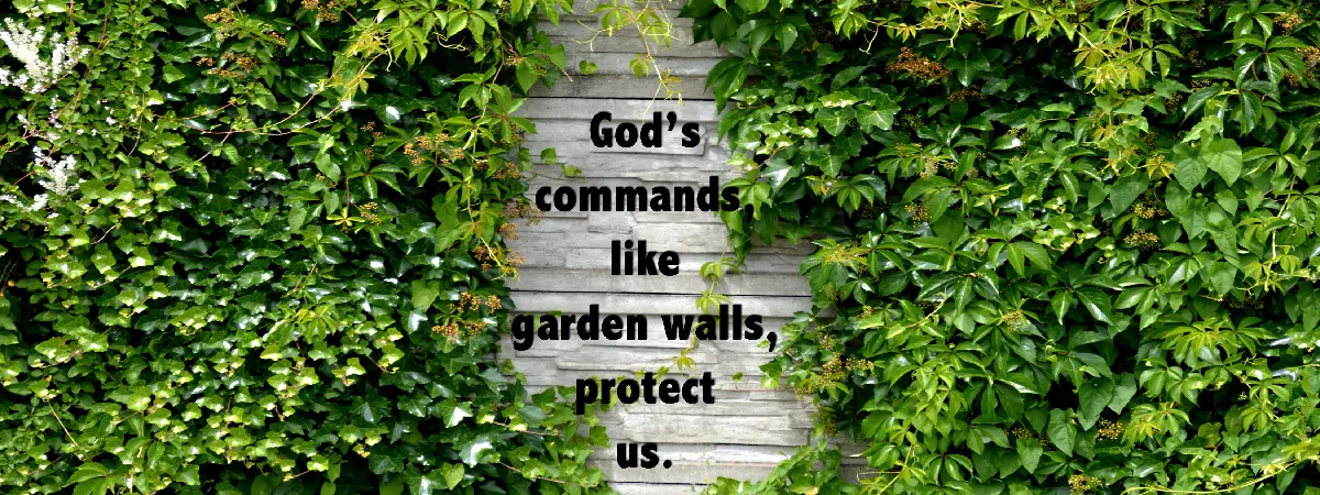 God's commands protect us and lead to the best life possible!