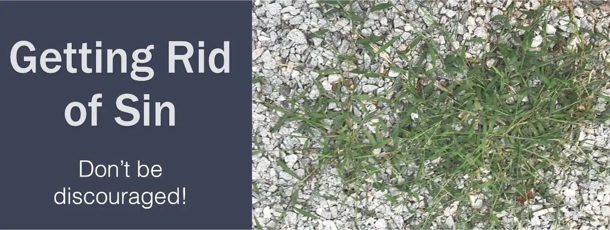 Don’t be discouraged by the way sin overwhelms you at times!