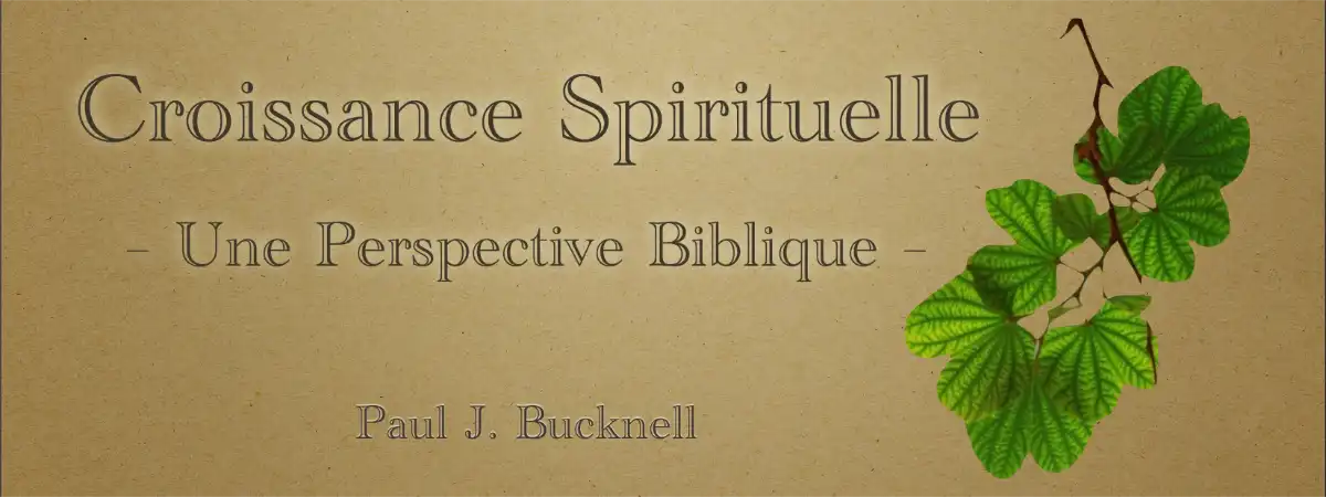 Croissance spirituelle: Une Perspective Biblique
